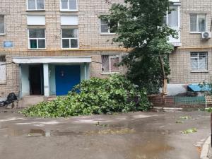 В Волгодонске ураган повалил деревья и оставил часть жителей без света