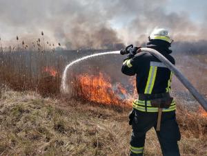 В Волгодонске и соседних районах продлили высокую пожароопасность