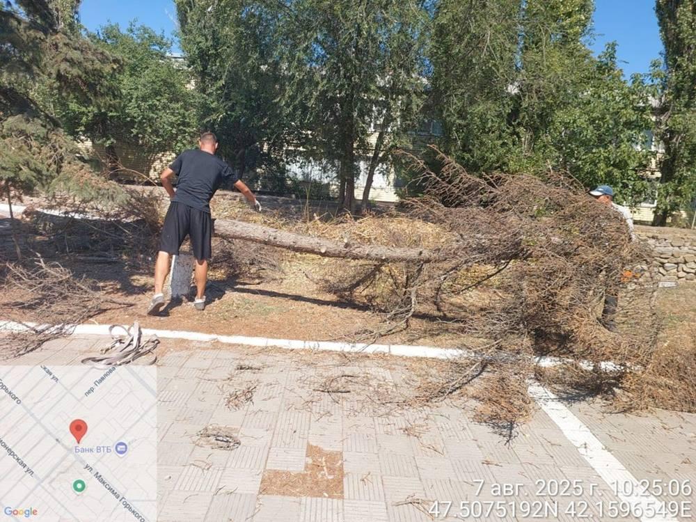 В Волгодонске на площади Дзержинского спилили упавшую иву