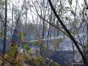 В Мартыновском районе потушили крупный ландшафтный пожар