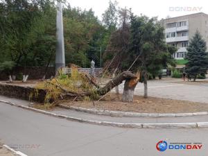 В Волгодонске на площади Дзержинского упала ива
