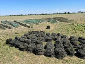 В Волгодонском районе из ловушек спасли почти тысячу раков