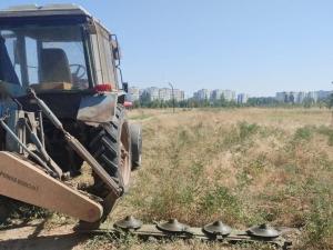 В волгодонском парке «Молодежный» покосили траву и полили деревья