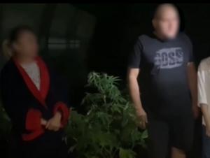 В Волгодонском районе мужчина вырастил на участке 149 кустов конопли