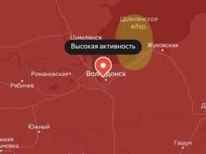 Высокая активность пыльцы амброзии продержится в Волгодонске до 3 сентября