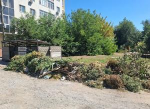 Жителям Ростовской области запретили выбрасывать ветки в мусорные баки