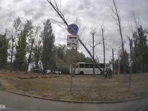 Опасная валка в Волгодонске: огромный ствол рухнул на улице Степной