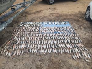 Браконьеры выловили из Цимлянского водохранилища более 380 рыб