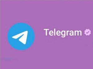 В Ростовской области начали ограничивать регистрацию в Telegram и Whatsapp*