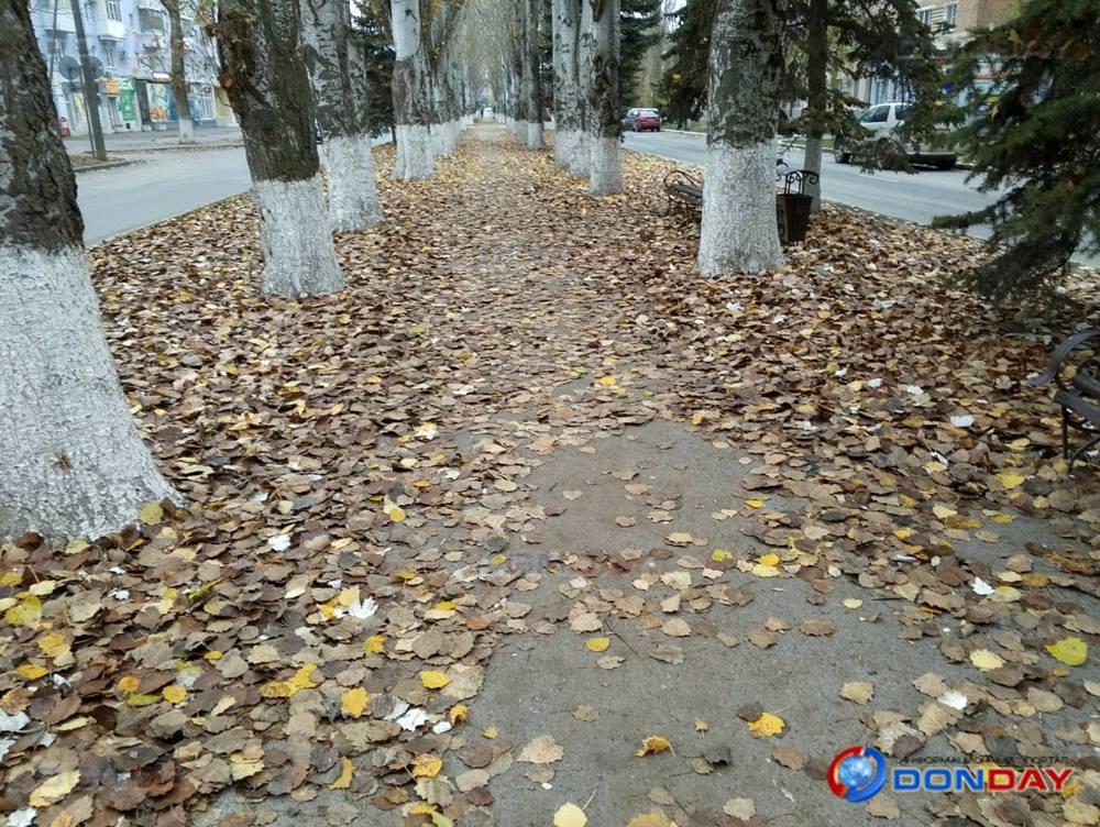 Жители Волгодонска жалуются на заваленный листвой тротуар