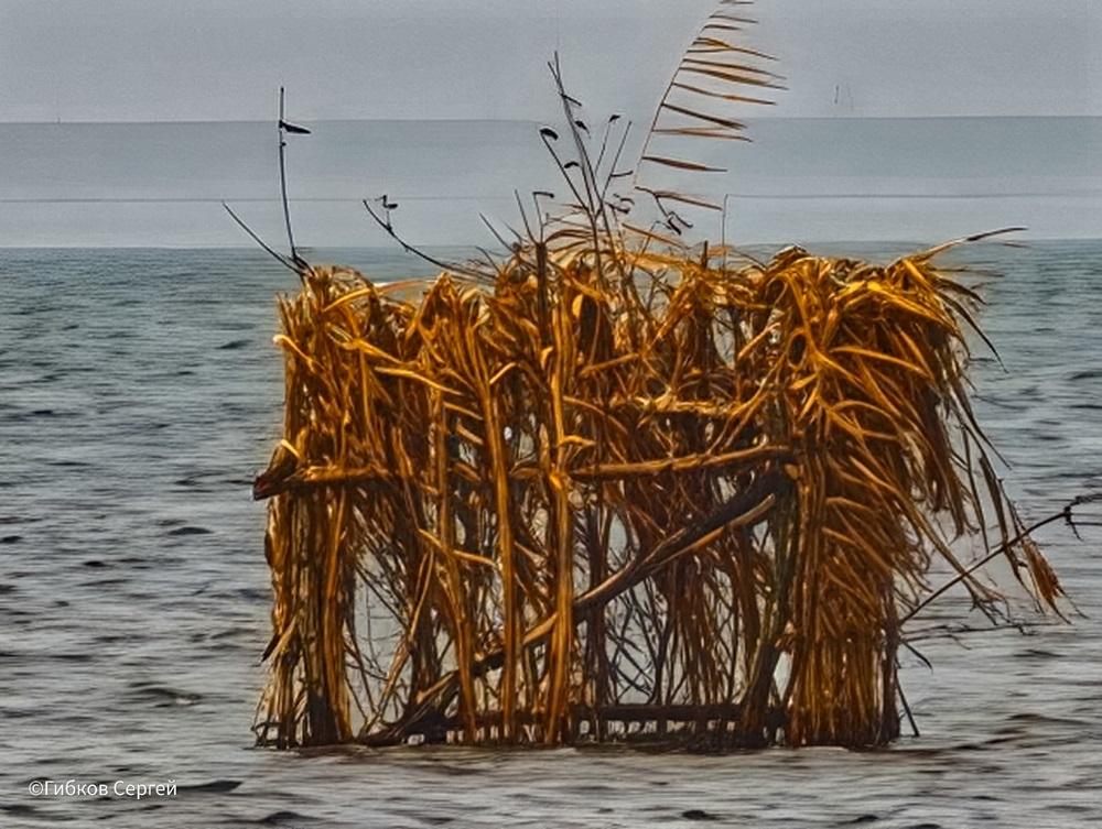 Жители Волгодонска обнаружили на дне Цимлянского водохранилища загадочные беседки