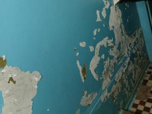 Обшарпанные стены и вонь: жители дома на Энтузиастов возмущены состоянием подъезда