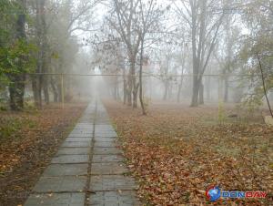 На предстоящей неделе в Волгодонске будет тепло и пасмурно