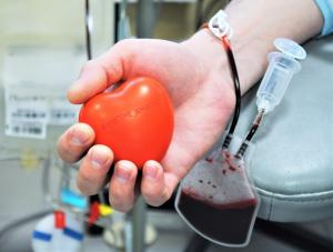 Более 30 жителей Волгодонска удостоены звания «Почетный донор Ростовской области»