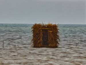Жители Волгодонска обнаружили на дне Цимлянского водохранилища загадочные беседки