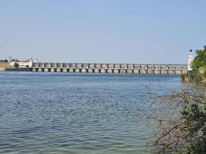 Река Дон оказалась на третьем месте по количеству случаев загрязнения