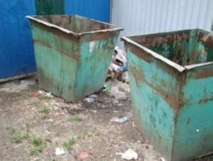 В Цимлянске не нашли мусор на контейнерных площадках