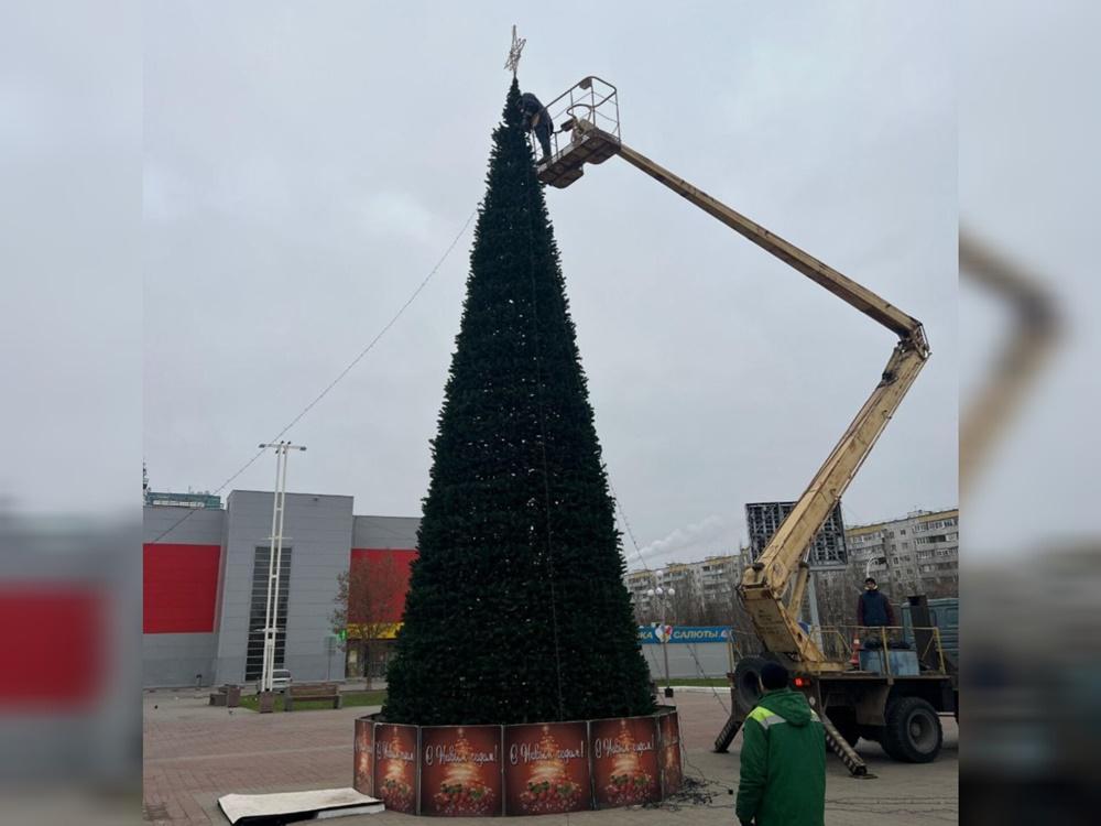 В Волгодонске на площади Победы начали устанавливать новогоднюю ель