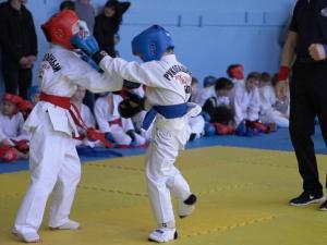 Волгодонцев приглашают поддержать юных рукопашников на Всероссийском турнире