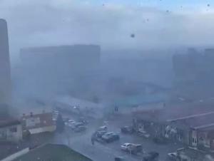 В Волгодонске из-за сильного ветра рухнуло дерево