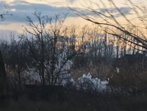 В Волгодонске из-за порыва появился ледяной фонтан