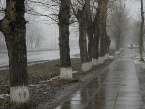 На выходных в Волгодонске будет пасмурно и прохладно