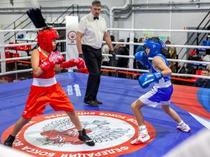 В Волгодонске определили лучших боксеров города