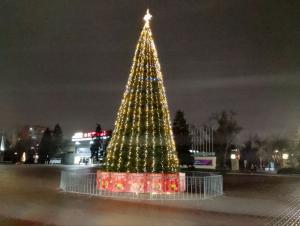 В новогоднюю ночь в Волгодонске ожидается метель