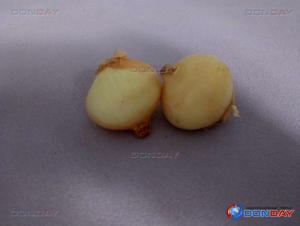 Волгодонск лидирует по высоким ценам на лук и морковь в Ростовской области