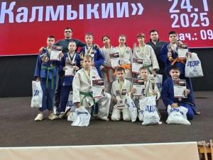 Волгодонские дзюдоисты завоевали 20 наград на Кубке Калмыкии