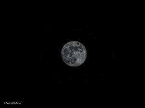 Жители Волгодонска увидят первое полнолуние в наступившем году