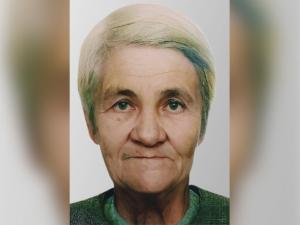 В Цимлянске без вести пропала 73-летняя женщина