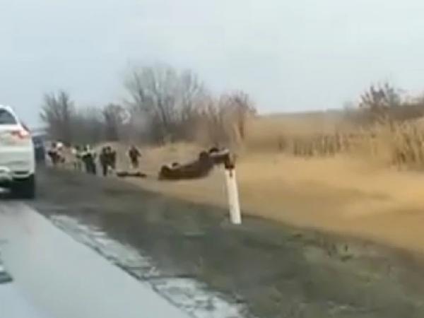 Четырёхлетний малыш и женщина погибли в ДТП недалеко от Волгодонска