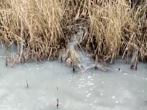 Жители Волгодонска заметили слив нечистот в Мокро-Соленовскую балку