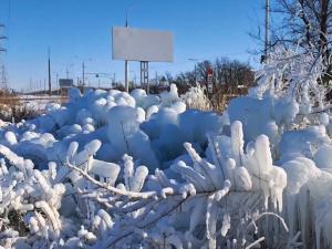 Жители Волгодонска устраивают фотосессии на фоне застывших из-за порывов водовода деревьев