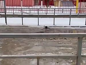 Как в Средневековье: жители Юго-Западного района Волгодонска пожаловались на канализационные потоки