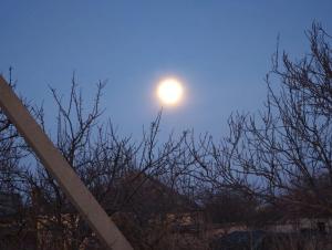 Жители Волгодонска в ночь на 2 февраля наблюдали Снежную Луну