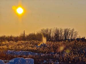 «Долина гейзеров»: волгодонец насчитал более десяти порывов на водоводе В-24