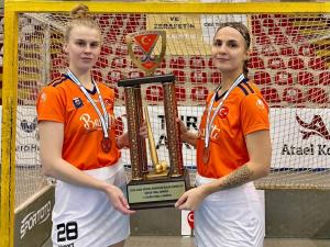 Игроки волгодонского ХК «Дончанка» победили на чемпионате в Турции