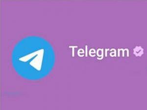 В Волгодонске с 1 апреля полностью заблокируют Telegram