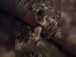 Многоэтажка в Волгодонске тонет в фекалиях