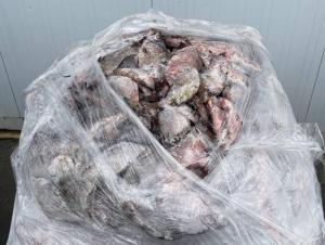 УФСБ изъяло 19 тонн браконьерской рыбы у жителей Волгодонска и Батайска