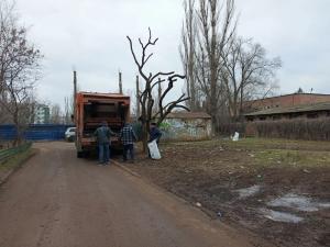 В Волгодонске убрали ветки обломившейся почти год назад абрикосы