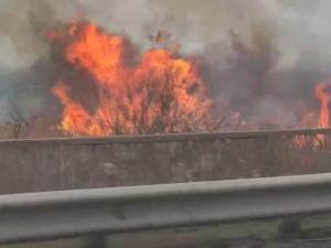 В Волгодонске рядом с путепроводом горит камыш