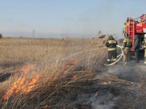 В Волгодонске проводят контролируемый пал сухой растительности