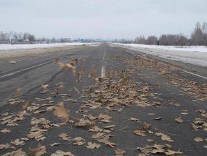 В Ростовской области из-за ветра ввели желтый уровень погодной опасности