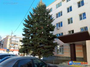 В Волгодонске забыли снять новогодние украшения с елки