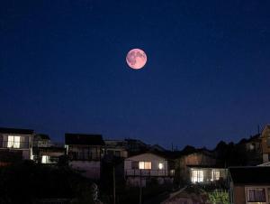 Жители Волгодонска увидят «розовую» Луну в начале апреля