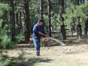 В Волгодонске с 1 мая введут особый противопожарный режим