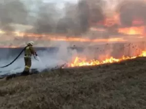 В Ростовской области увеличилось количество пожаров из-за сжигания мусора